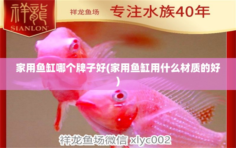 家用魚缸哪個牌子好(家用魚缸用什么材質(zhì)的好) 過背金龍魚