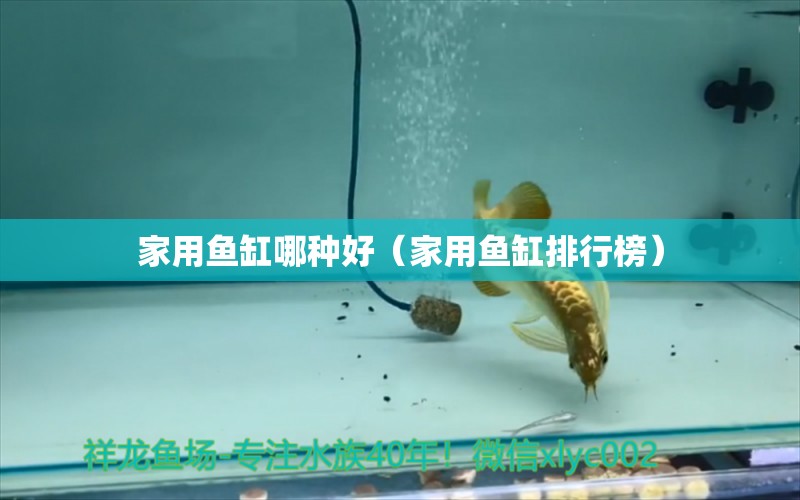 家用魚缸哪種好（家用魚缸排行榜） 觀賞魚批發(fā)