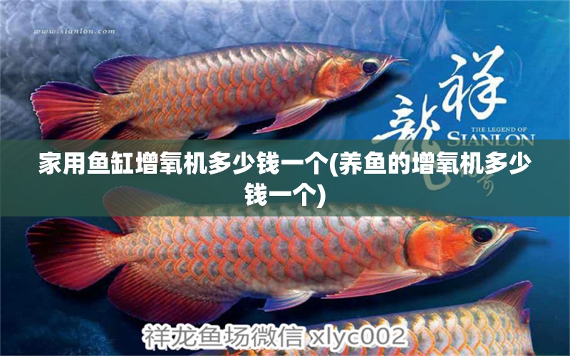 家用魚(yú)缸增氧機(jī)多少錢(qián)一個(gè)(養(yǎng)魚(yú)的增氧機(jī)多少錢(qián)一個(gè))