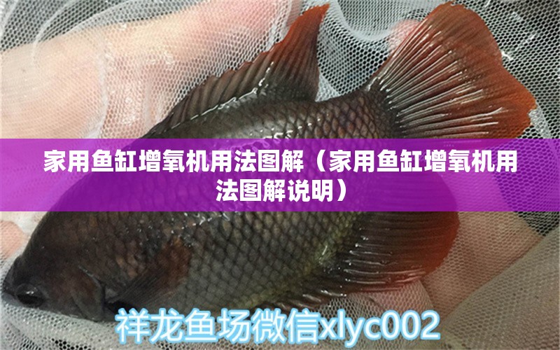 家用魚缸增氧機用法圖解（家用魚缸增氧機用法圖解說明） 硝化細菌