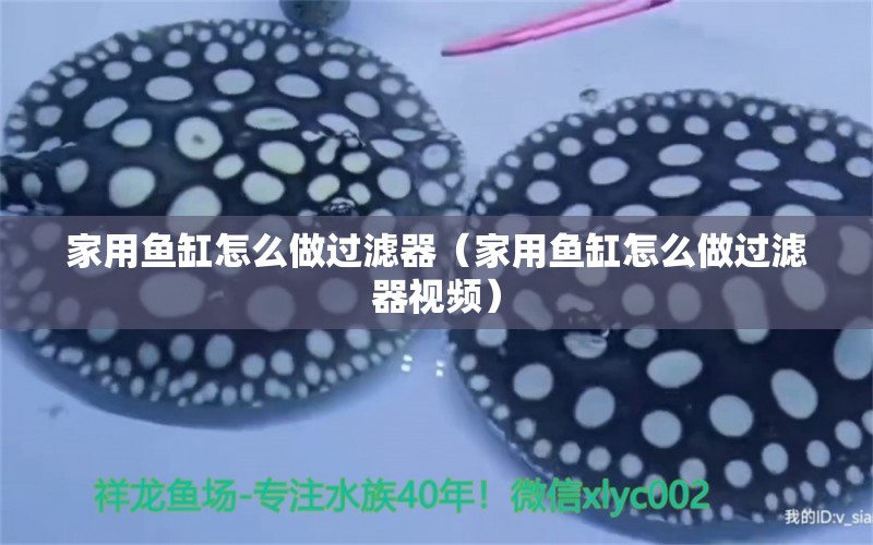 家用魚缸怎么做過濾器（家用魚缸怎么做過濾器視頻）