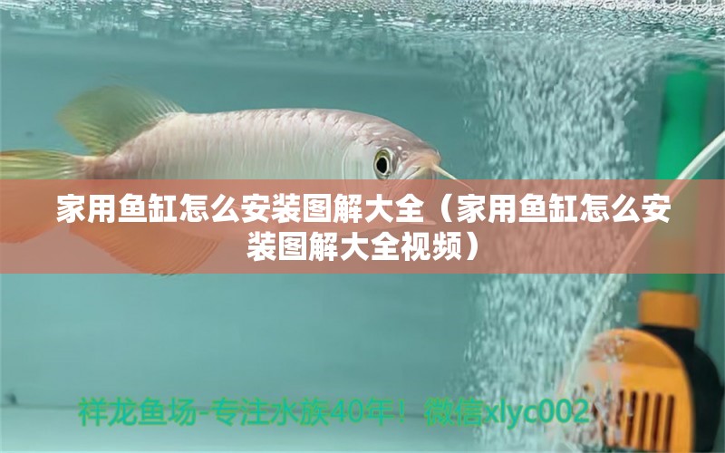 家用魚缸怎么安裝圖解大全（家用魚缸怎么安裝圖解大全視頻）