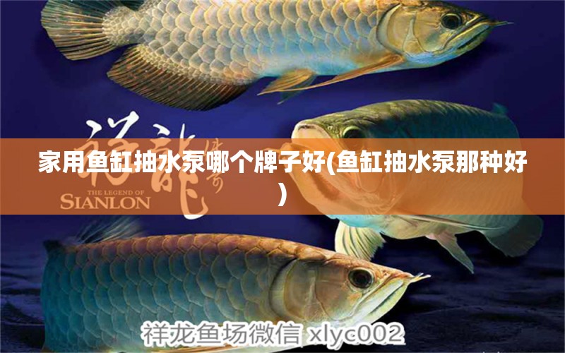 家用魚(yú)缸抽水泵哪個(gè)牌子好(魚(yú)缸抽水泵那種好) 鸚鵡魚(yú)