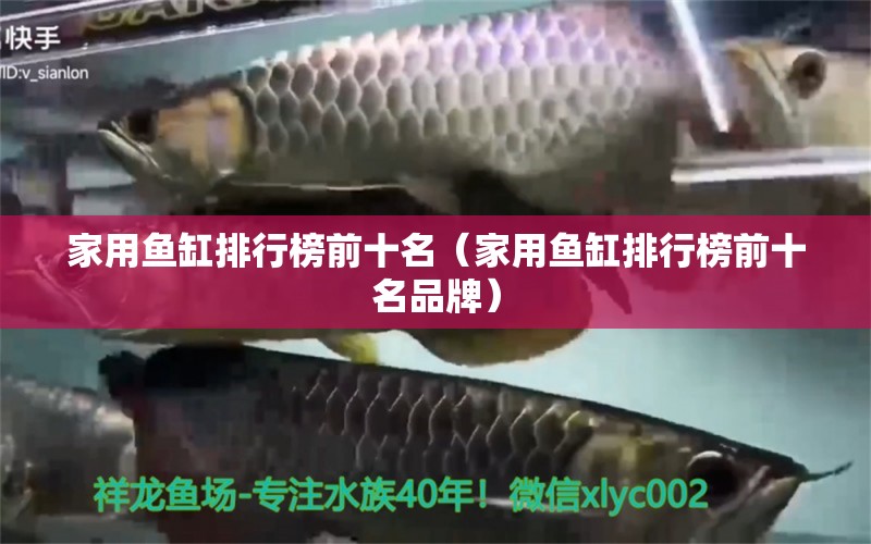 家用魚缸排行榜前十名（家用魚缸排行榜前十名品牌）