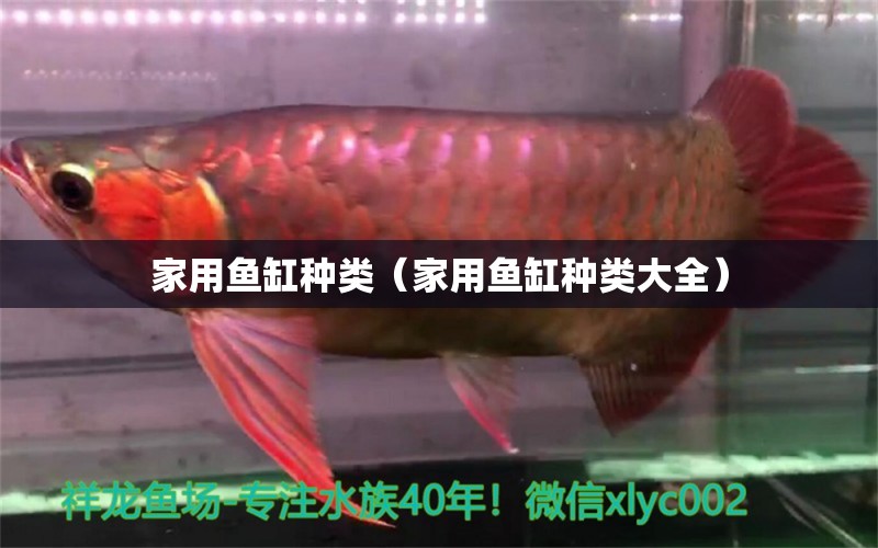 家用魚缸種類（家用魚缸種類大全） iwish愛唯希品牌魚缸