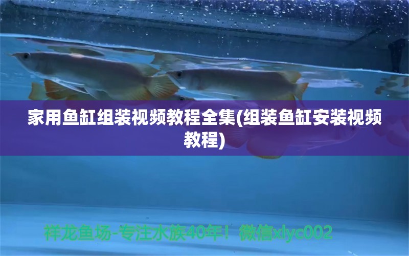 家用魚缸組裝視頻教程全集(組裝魚缸安裝視頻教程) 廣州水族器材濾材批發(fā)市場