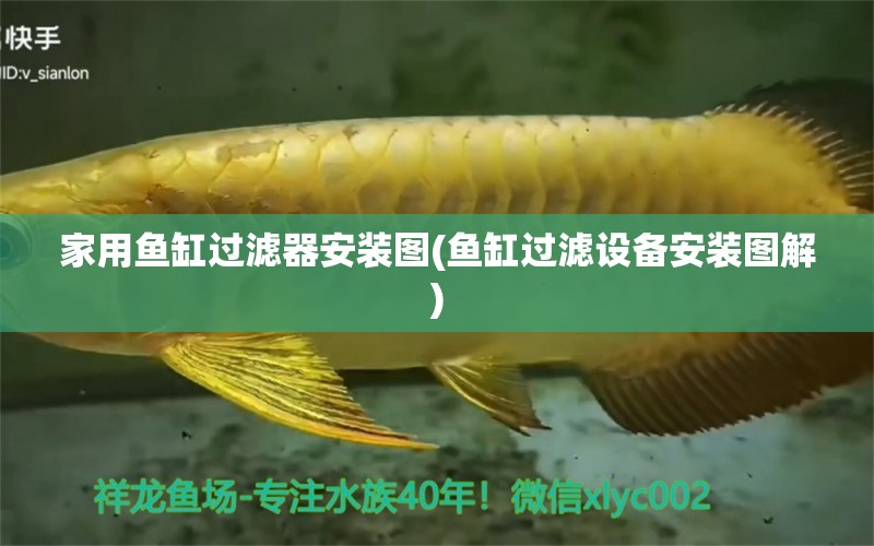 家用魚缸過(guò)濾器安裝圖(魚缸過(guò)濾設(shè)備安裝圖解) 過(guò)濾設(shè)備 第1張