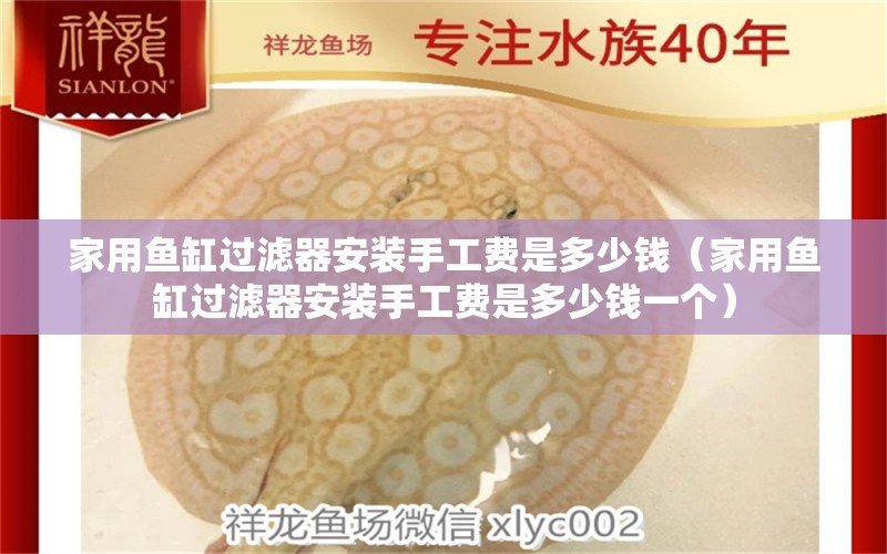 家用魚缸過濾器安裝手工費(fèi)是多少錢（家用魚缸過濾器安裝手工費(fèi)是多少錢一個） 觀賞魚水族批發(fā)市場