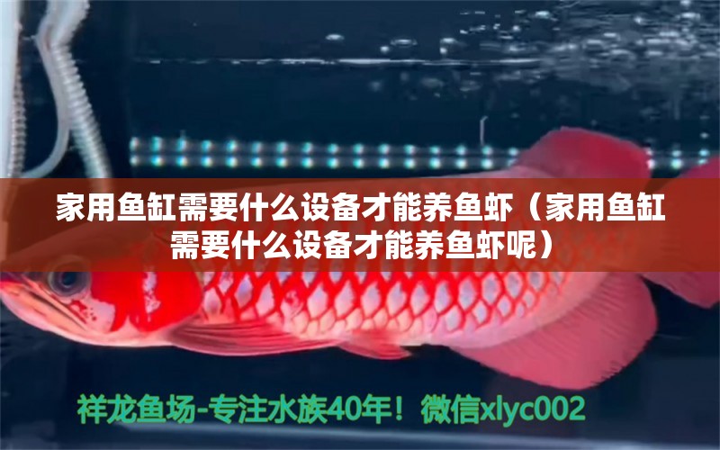 家用魚(yú)缸需要什么設(shè)備才能養(yǎng)魚(yú)蝦（家用魚(yú)缸需要什么設(shè)備才能養(yǎng)魚(yú)蝦呢）