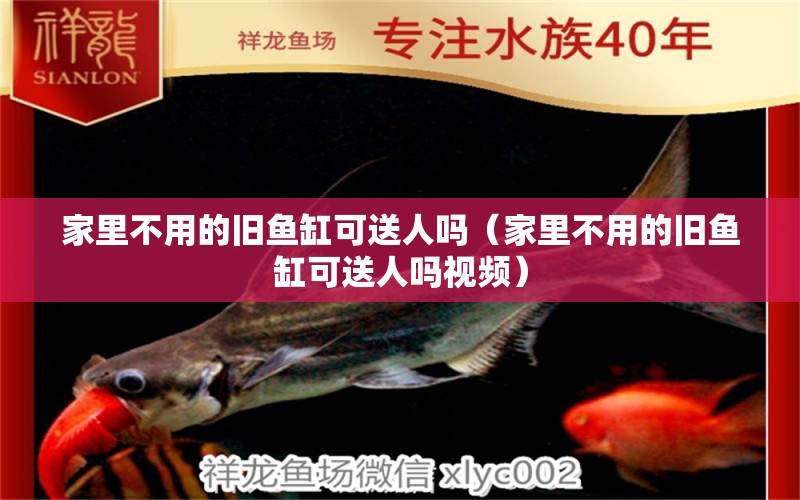 家里不用的舊魚缸可送人嗎（家里不用的舊魚缸可送人嗎視頻） 蘇虎