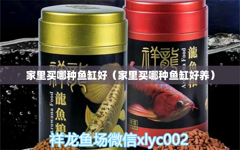 家里買哪種魚缸好（家里買哪種魚缸好養(yǎng)） iwish愛唯希品牌魚缸