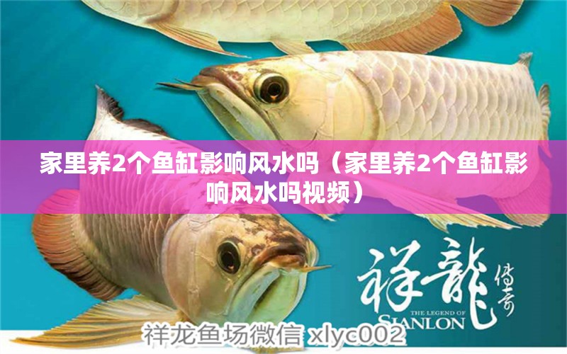 家里養(yǎng)2個魚缸影響風(fēng)水嗎（家里養(yǎng)2個魚缸影響風(fēng)水嗎視頻） 魚缸風(fēng)水