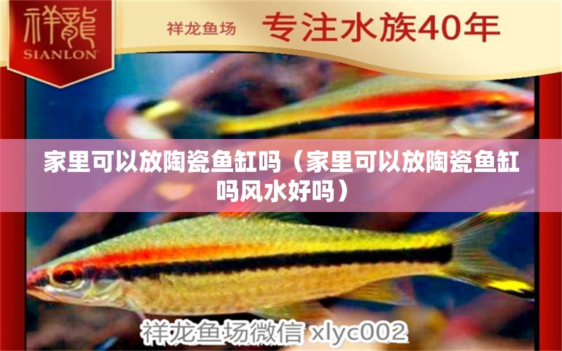 家里可以放陶瓷魚缸嗎（家里可以放陶瓷魚缸嗎風(fēng)水好嗎） 魚缸風(fēng)水