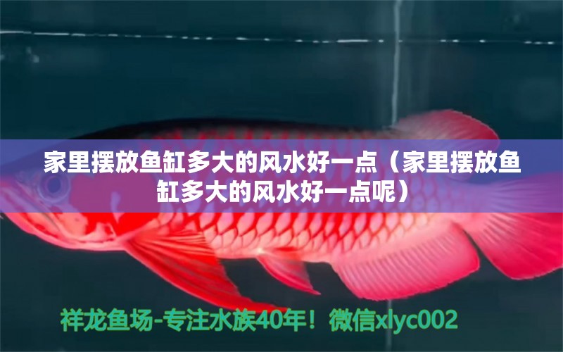 家里擺放魚缸多大的風(fēng)水好一點(diǎn)（家里擺放魚缸多大的風(fēng)水好一點(diǎn)呢） 魚缸風(fēng)水