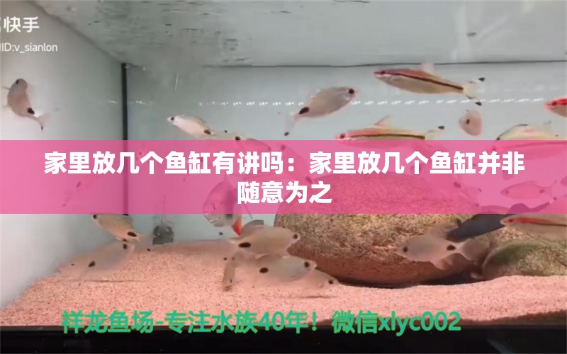 家里放幾個魚缸有講嗎：家里放幾個魚缸并非隨意為之 魚缸風(fēng)水 第2張