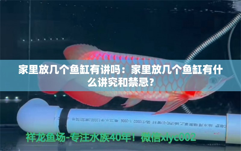 家里放幾個(gè)魚缸有講嗎：家里放幾個(gè)魚缸有什么講究和禁忌？ 魚缸風(fēng)水 第2張