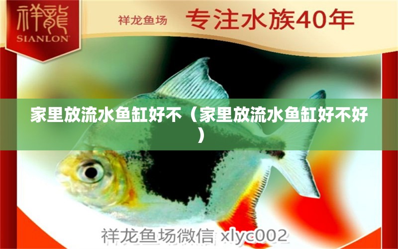 家里放流水魚缸好不（家里放流水魚缸好不好） 丹頂錦鯉魚