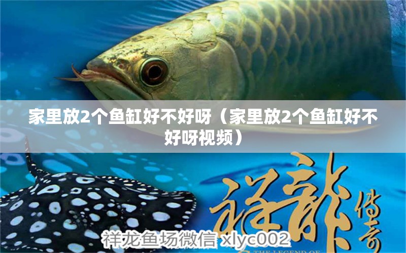 家里放2個(gè)魚缸好不好呀（家里放2個(gè)魚缸好不好呀視頻）