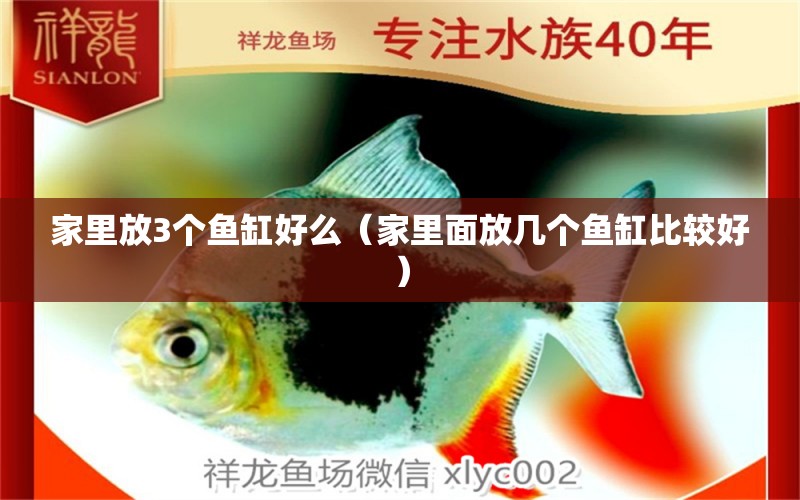 家里放3個魚缸好么（家里面放幾個魚缸比較好）