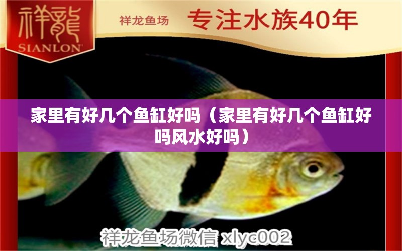 家里有好幾個(gè)魚缸好嗎（家里有好幾個(gè)魚缸好嗎風(fēng)水好嗎）