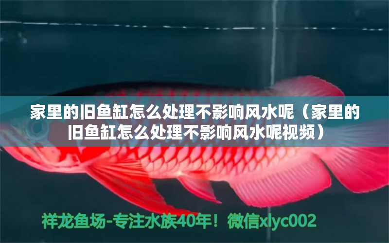 家里的舊魚缸怎么處理不影響風水呢（家里的舊魚缸怎么處理不影響風水呢視頻）