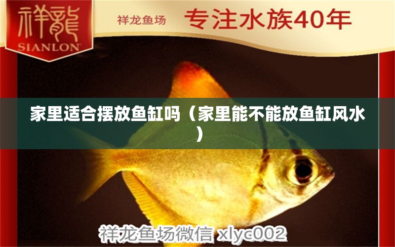 家里適合擺放魚缸嗎（家里能不能放魚缸風水）