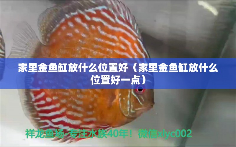 家里金魚(yú)缸放什么位置好（家里金魚(yú)缸放什么位置好一點(diǎn)） 觀賞龜/鱉飼料