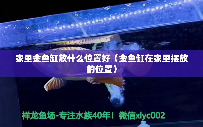 家里金魚缸放什么位置好（金魚缸在家里擺放的位置）