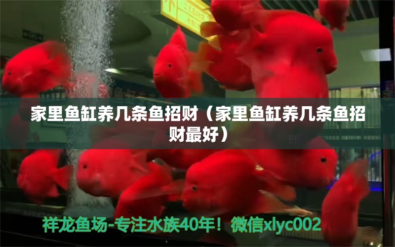 家里魚缸養(yǎng)幾條魚招財（家里魚缸養(yǎng)幾條魚招財最好） 祥龍水族醫(yī)院