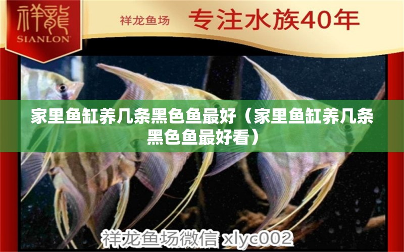 家里魚缸養(yǎng)幾條黑色魚最好（家里魚缸養(yǎng)幾條黑色魚最好看）