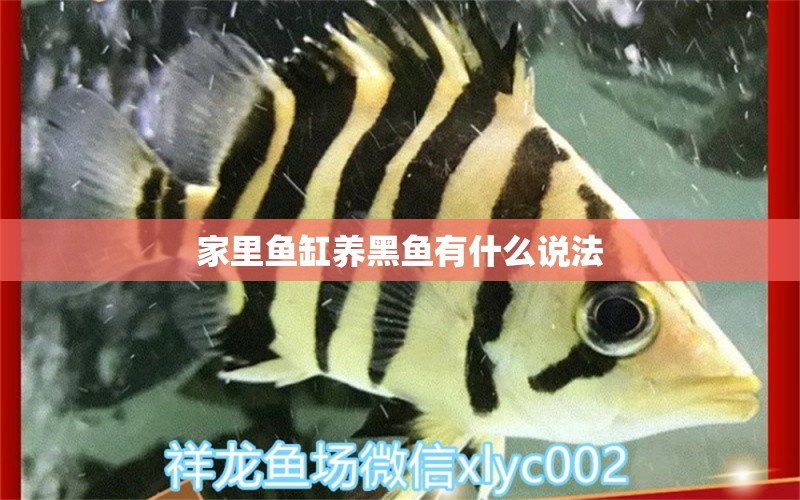 家里魚(yú)缸養(yǎng)黑魚(yú)有什么說(shuō)法 祥龍魚(yú)場(chǎng)