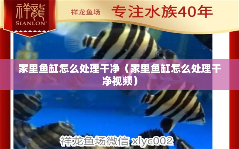 家里魚缸怎么處理干凈（家里魚缸怎么處理干凈視頻）