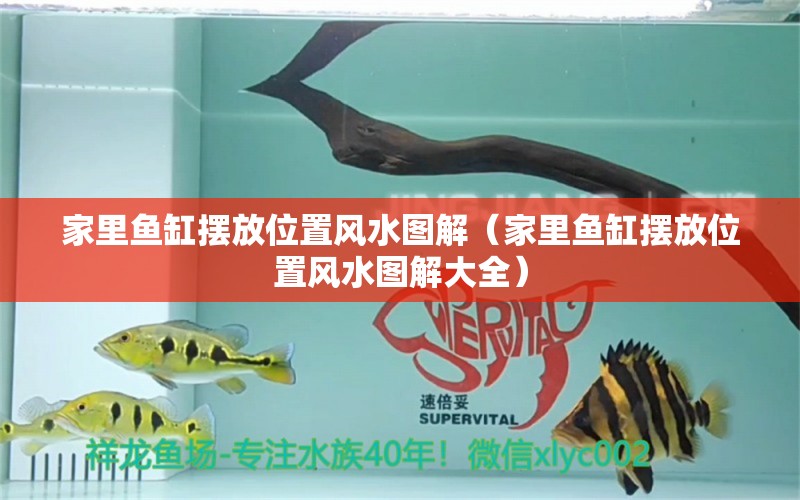 家里魚缸擺放位置風(fēng)水圖解（家里魚缸擺放位置風(fēng)水圖解大全）