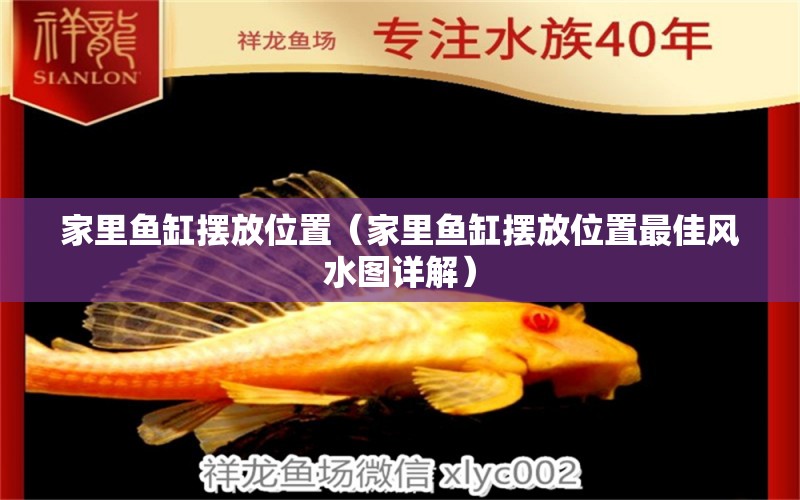 家里魚缸擺放位置（家里魚缸擺放位置最佳風水圖詳解） 魚缸風水