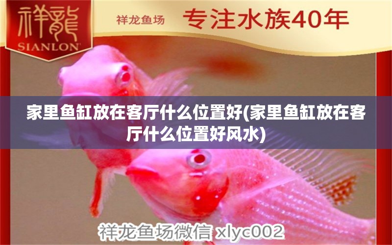 家里魚缸放在客廳什么位置好(家里魚缸放在客廳什么位置好風(fēng)水)