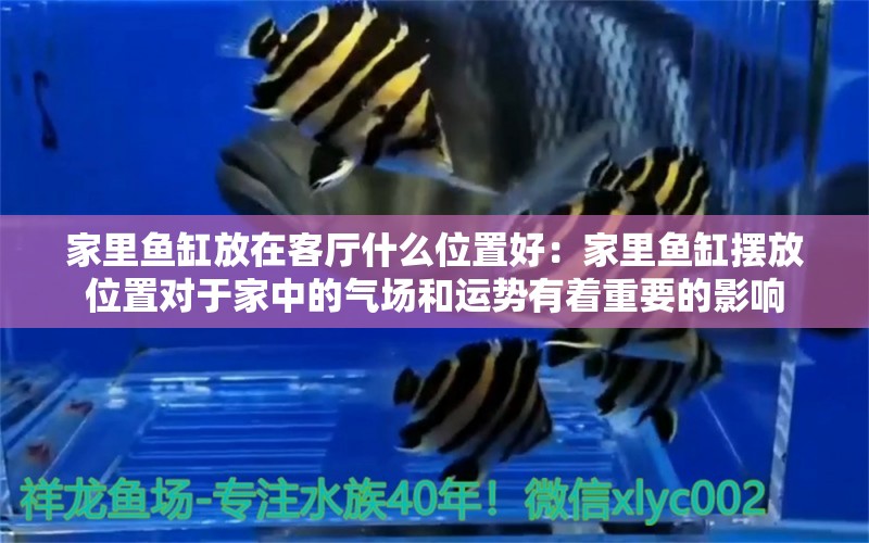 家里魚缸放在客廳什么位置好：家里魚缸擺放位置對于家中的氣場和運(yùn)勢有著重要的影響