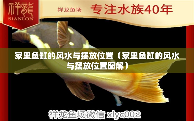 家里魚缸的風水與擺放位置（家里魚缸的風水與擺放位置圖解）