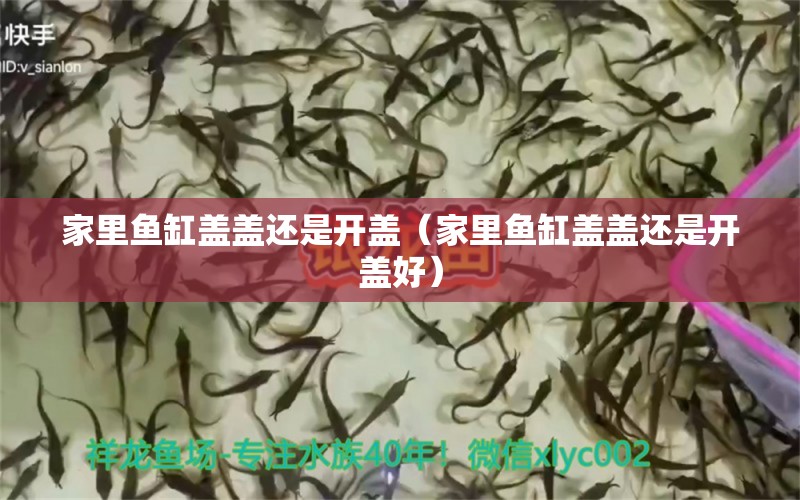 家里魚(yú)缸蓋蓋還是開(kāi)蓋（家里魚(yú)缸蓋蓋還是開(kāi)蓋好） 祥龍水族醫(yī)院