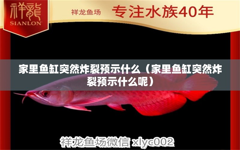 家里魚(yú)缸突然炸裂預(yù)示什么（家里魚(yú)缸突然炸裂預(yù)示什么呢） 彩鰈魚(yú)缸（彩蝶魚(yú)缸）