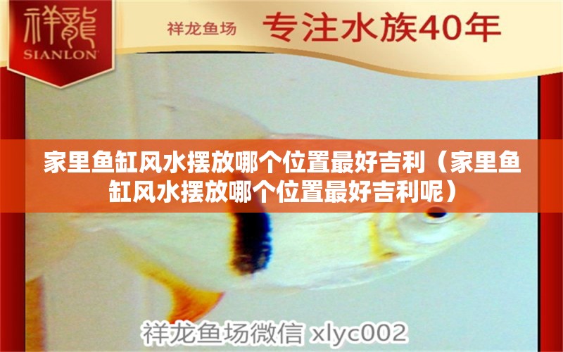 家里魚缸風(fēng)水?dāng)[放哪個(gè)位置最好吉利（家里魚缸風(fēng)水?dāng)[放哪個(gè)位置最好吉利呢）