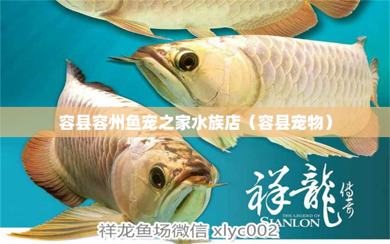 容縣容州魚(yú)寵之家水族店（容縣寵物） 全國(guó)水族館企業(yè)名錄