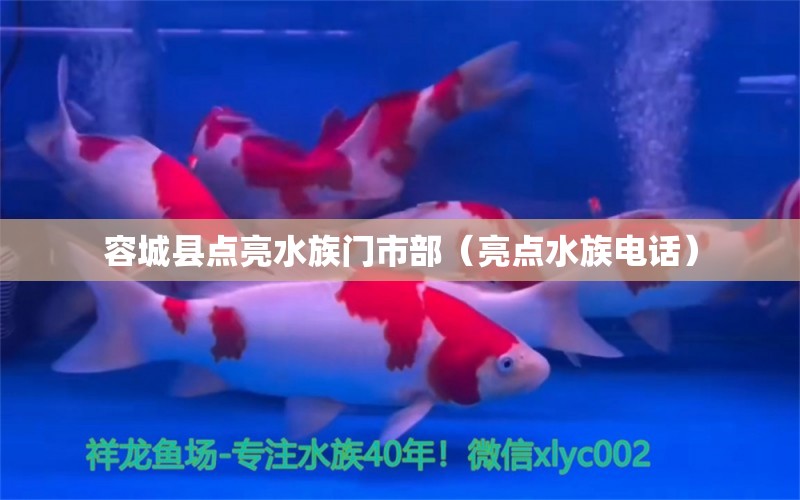 容城縣點(diǎn)亮水族門市部（亮點(diǎn)水族電話）