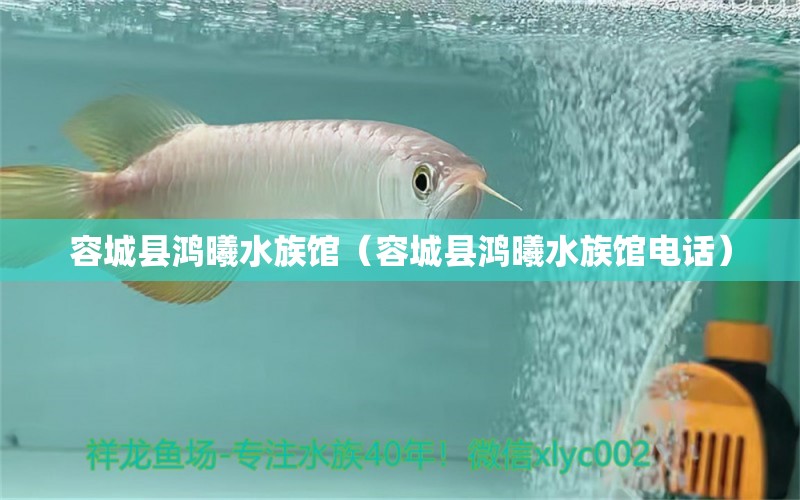 容城縣鴻曦水族館（容城縣鴻曦水族館電話）