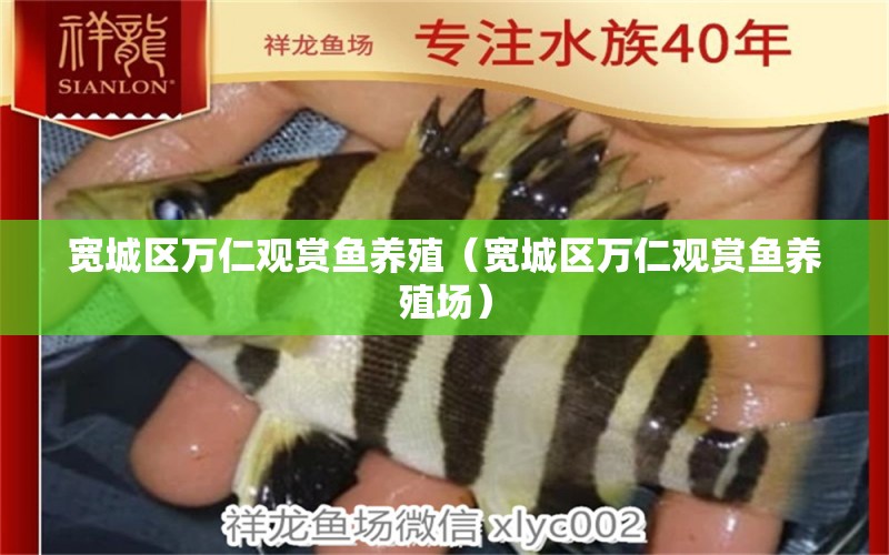 寬城區(qū)萬仁觀賞魚養(yǎng)殖（寬城區(qū)萬仁觀賞魚養(yǎng)殖場） 全國水族館企業(yè)名錄