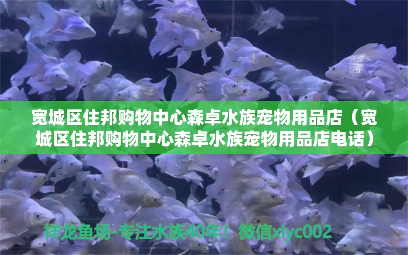 寬城區(qū)住邦購物中心森卓水族寵物用品店（寬城區(qū)住邦購物中心森卓水族寵物用品店電話）