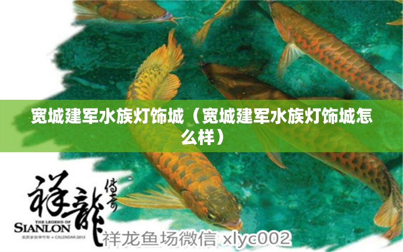 寬城建軍水族燈飾城（寬城建軍水族燈飾城怎么樣）