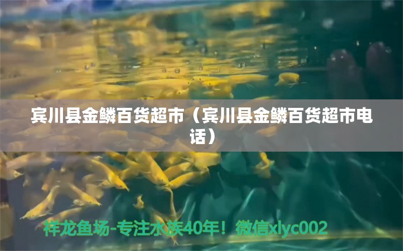 賓川縣金鱗百貨超市（賓川縣金鱗百貨超市電話） 全國水族館企業(yè)名錄