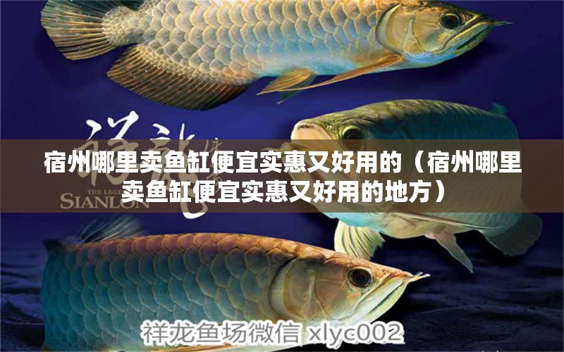 宿州哪里賣魚缸便宜實(shí)惠又好用的（宿州哪里賣魚缸便宜實(shí)惠又好用的地方）