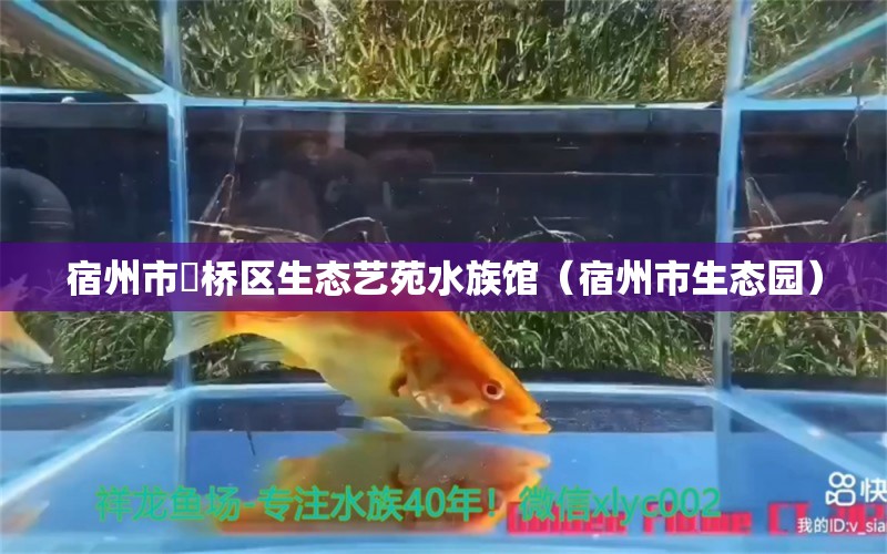 宿州市埇橋區(qū)生態(tài)藝苑水族館（宿州市生態(tài)園）