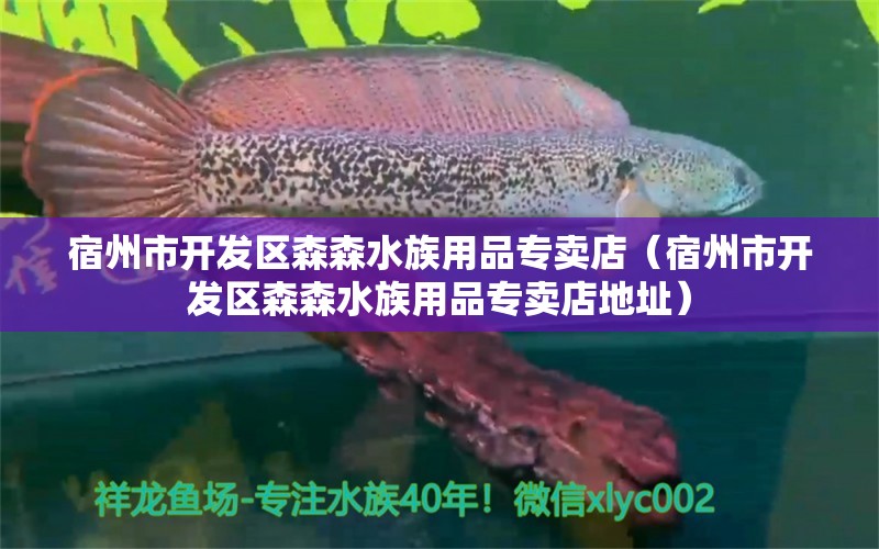 宿州市開(kāi)發(fā)區(qū)森森水族用品專(zhuān)賣(mài)店（宿州市開(kāi)發(fā)區(qū)森森水族用品專(zhuān)賣(mài)店地址）